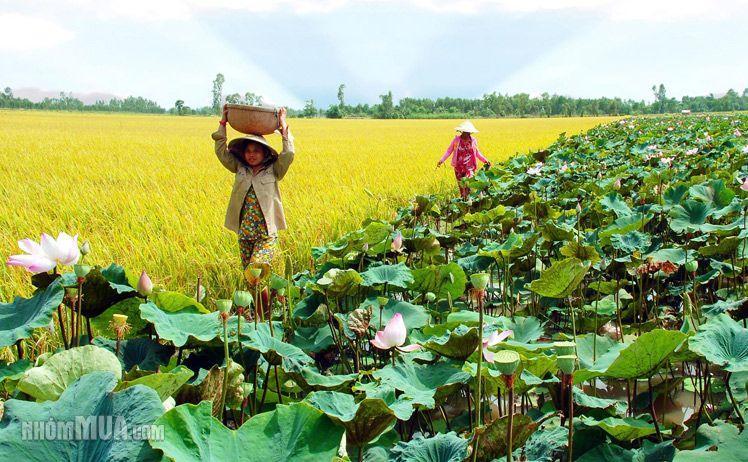 Mekong Way Homestay Cái Bè Eksteriør billede
