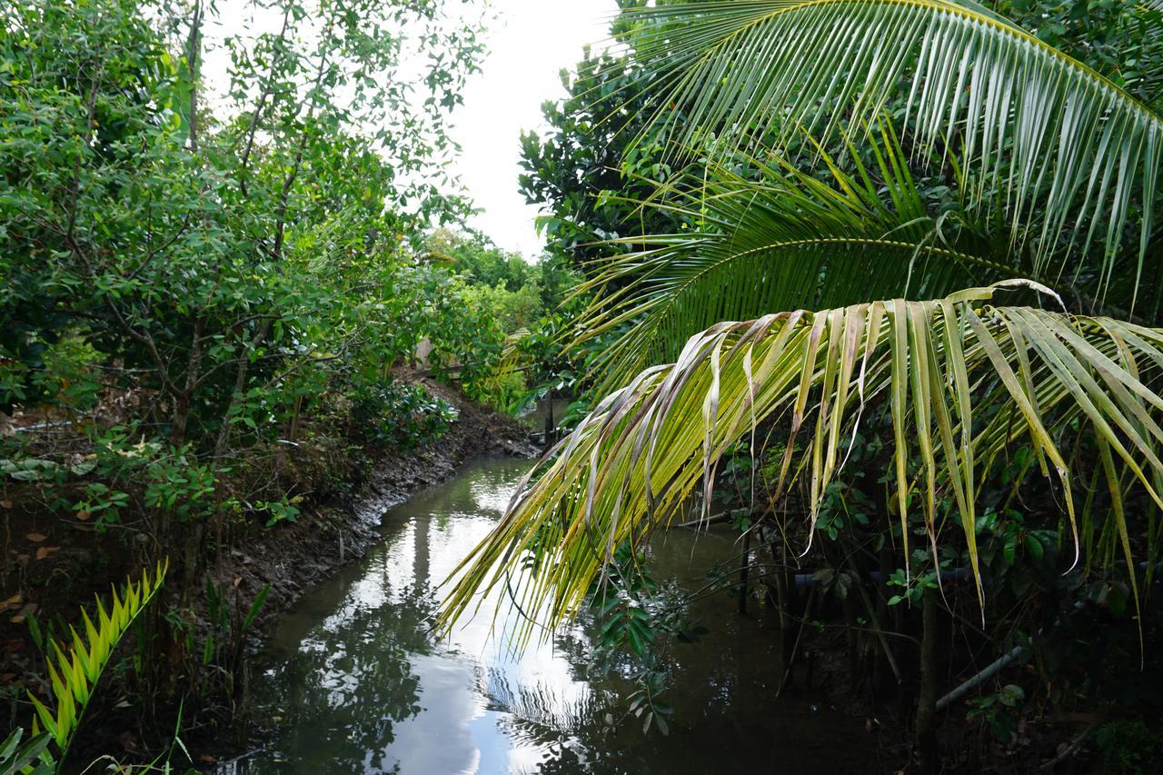 Mekong Way Homestay Cái Bè Eksteriør billede